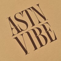 Vychádzková mikina ASTN Vibe