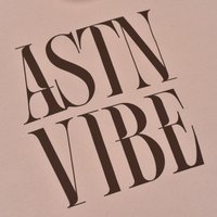 Vychádzková mikina ASTN VIBE s kapucňou
